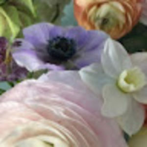 Meet your Posher, Kandy